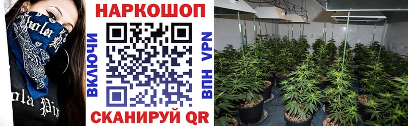 Где купить наркоту Макаров Каннабис Alpha-PVP ГАШ