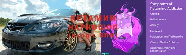 винт Лагань