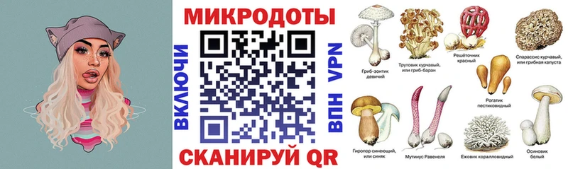 закладка  Макаров  Псилоцибиновые грибы мицелий 